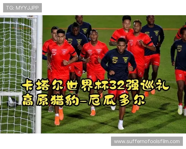 厄瓜多尔2026世界杯小组赛赛程难度分析及出线前景预测